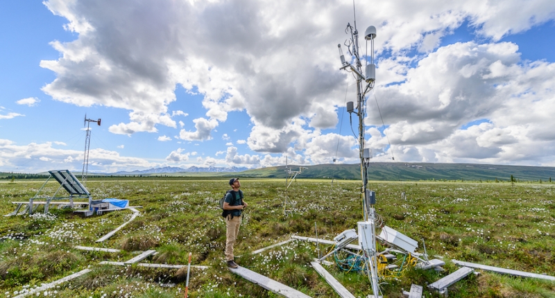 NCEAS Portrait: Ted Schuur Connects the Arctic to Our Everyday Lives