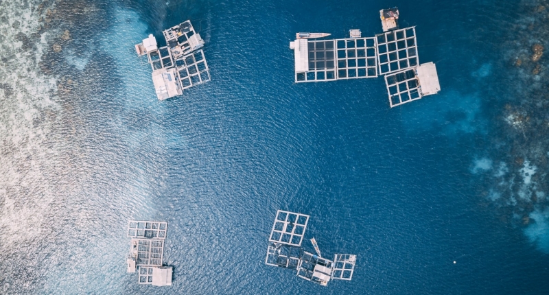 Aerial view of aquaculture pens