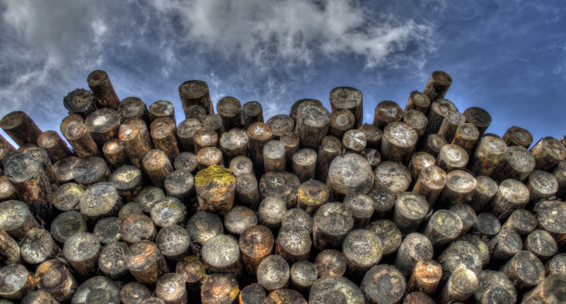 stacked logs and sky
