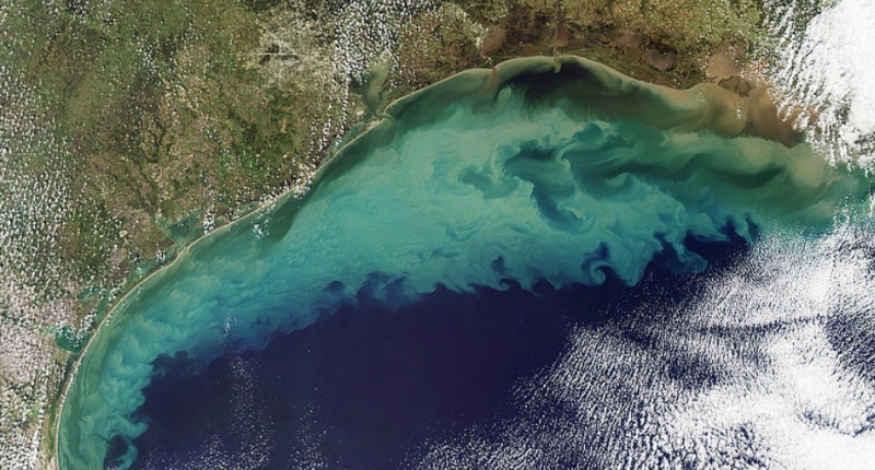 aerial view of Gulf of Mexico