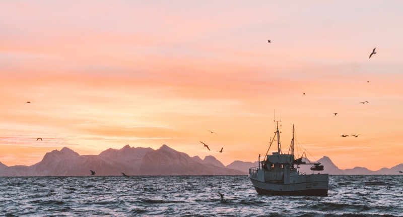 Fishing boat during sunset