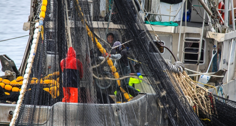 Fishermen on a fishing boa with nets