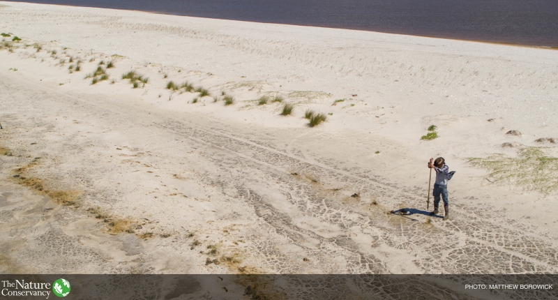 Person restoring a beach