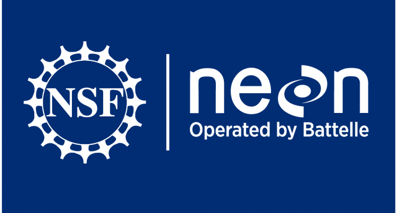 NEON logo