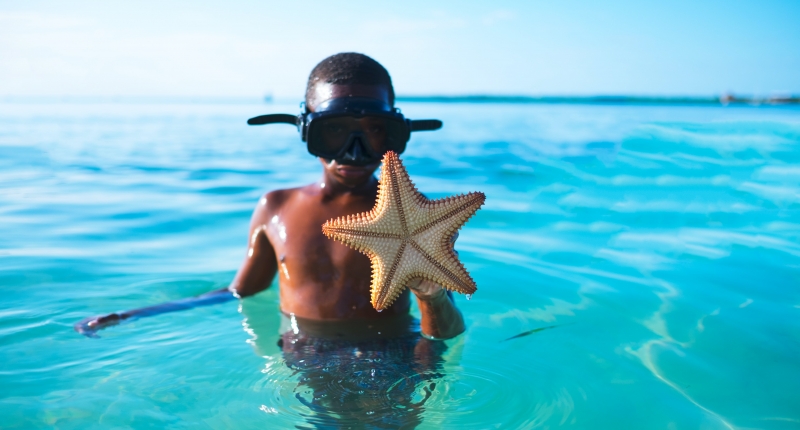 boy in ocean with starfish
