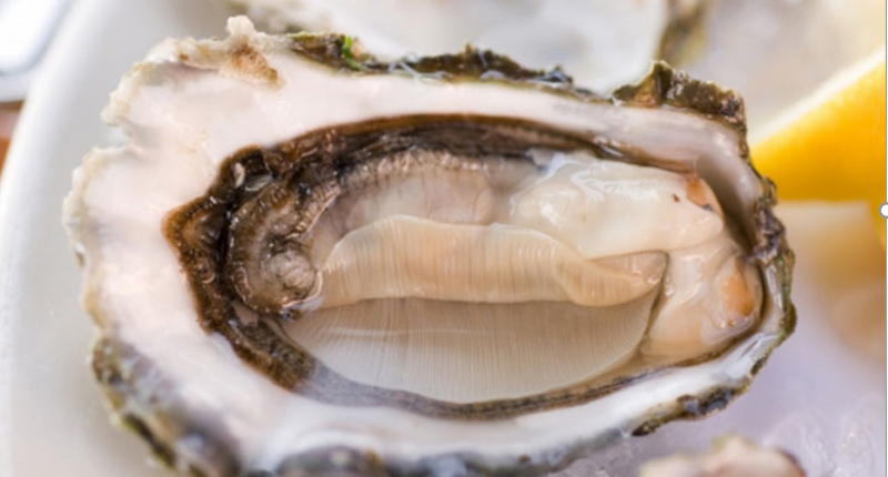 oyster on a plare