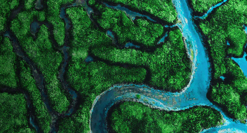 Satellite image of river