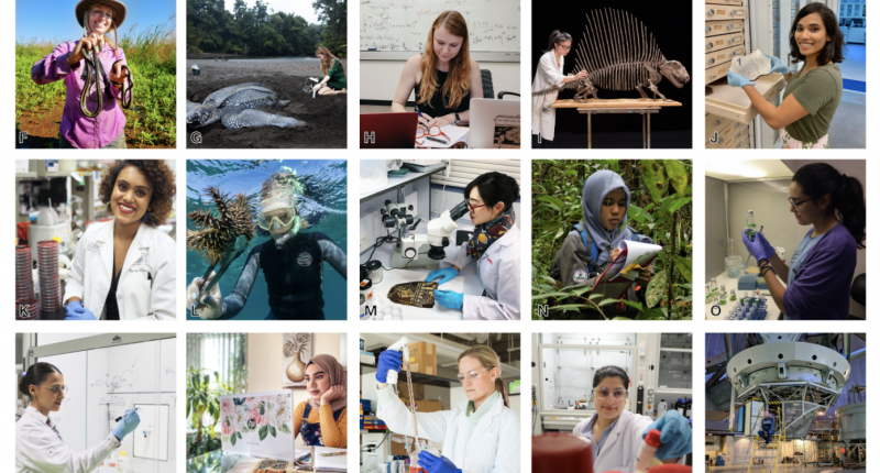 Collage of female scientists featured on women doing science instagram page