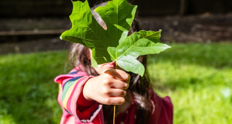 A girl holds a giant green leaf to the camera