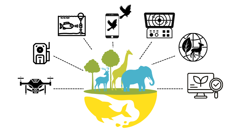 graphic with different automated digital asset collecting devices