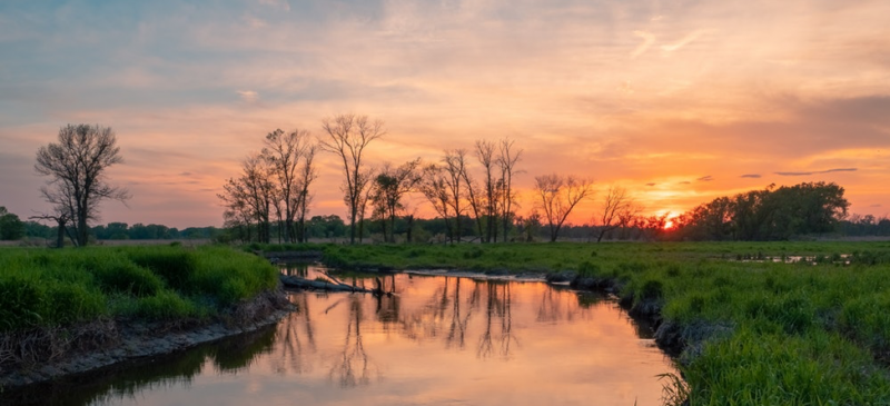 sun setting in a wetland