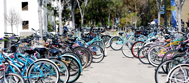 Bikes parked at a university