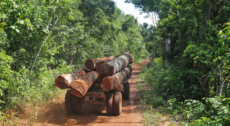 A truck drives aways with lumber