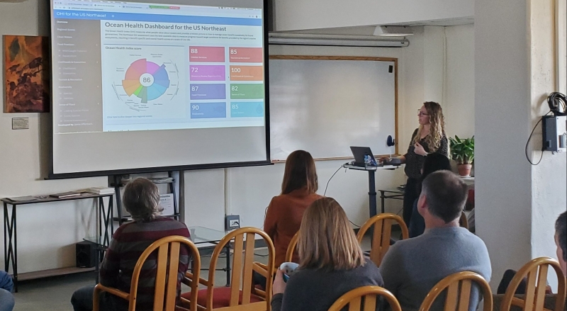 Woman giving presentation with slides on a screen