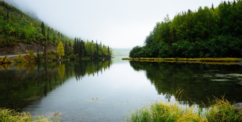 A lake with trees reflecting in the water