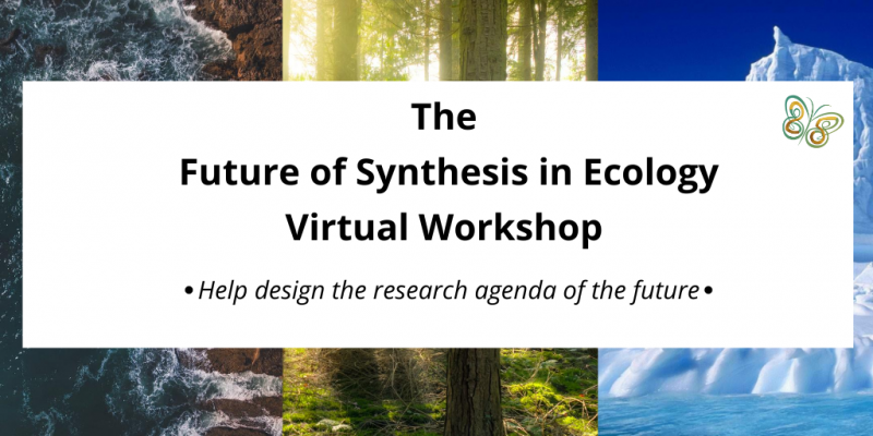 synthesis workshop ad