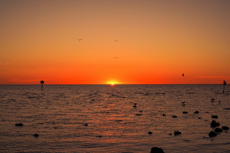 orange sunset on the coast