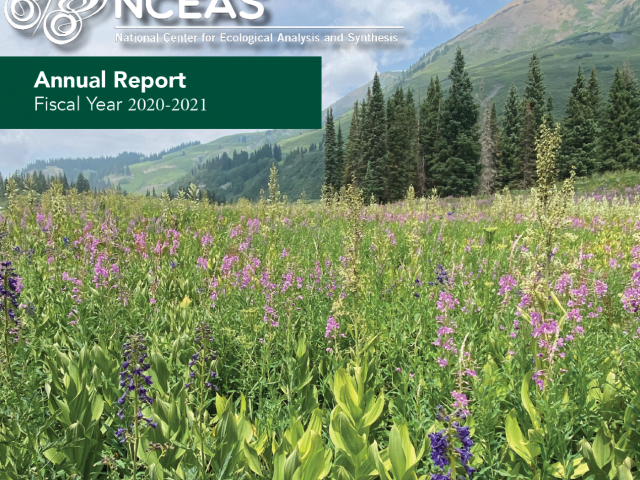 Annual Report wildflower field