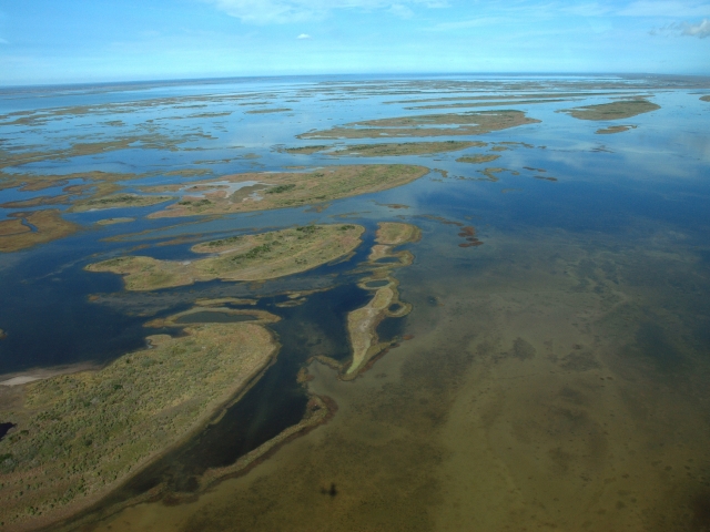 Aerial view of a marsh