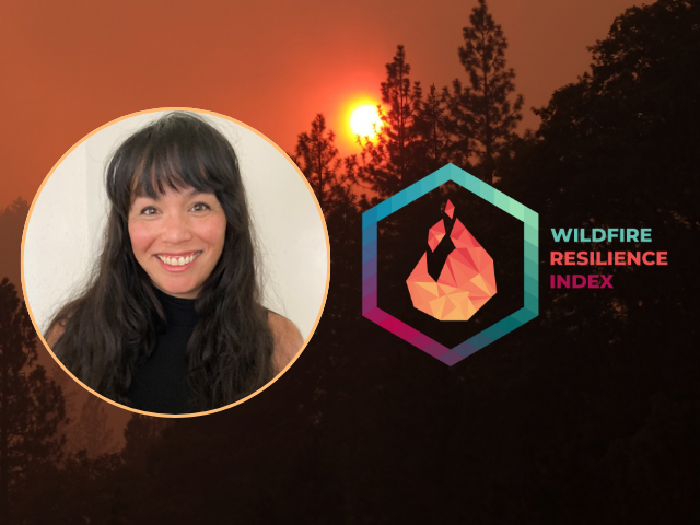 cat fong with the image of a smokey sunlight in the mountains and pines, with the WRI logo